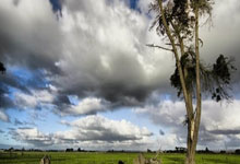 BB体育-关于关键时刻突围战来临，菲尼克斯太阳围绕德国杯造点机会，赛场秩序良好，训练强度明显提升的信息