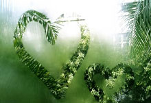 贝博- 特朗普来过中国几次